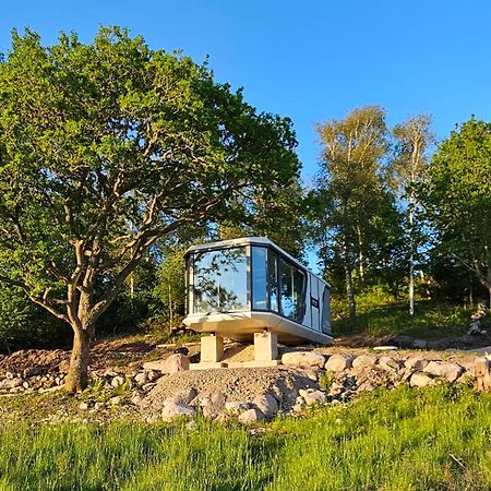 Forest Capsule أوديفالا المظهر الخارجي الصورة